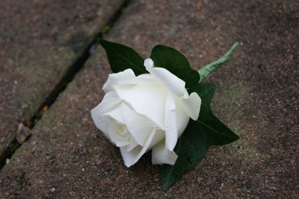 Cocarde din trandafiri, diverse modele si culori