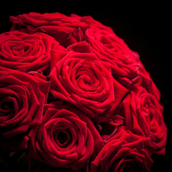 Comanda Trandafiri rosii la fir, pret atractiv, cu in livrare Bucuresti