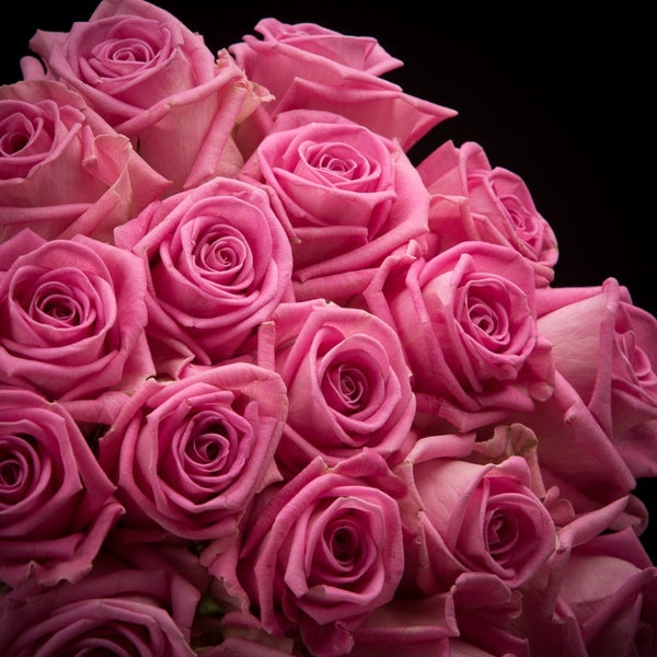 Trandafiri roz la fir, livrare Bucuresti, pret special