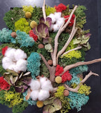 Tablou licheni stabilizati si elemente decorative naturale, pret atractiv