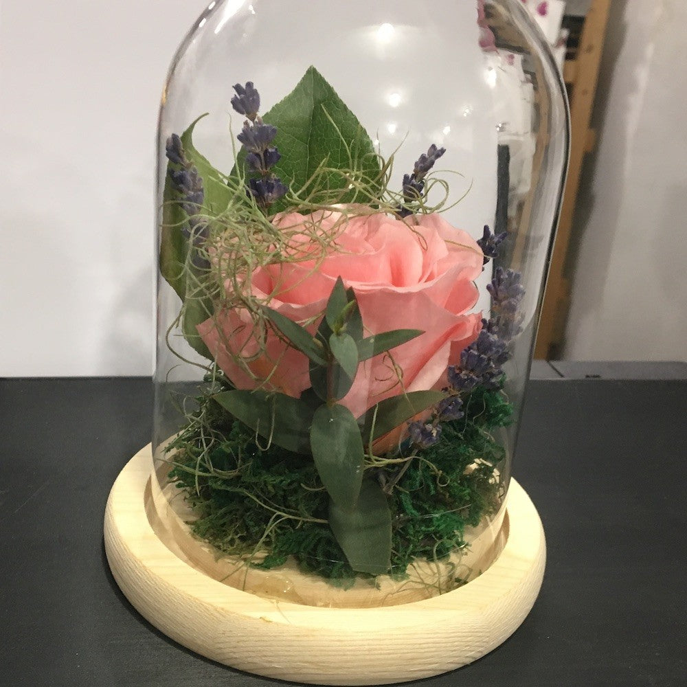 Trandafir criogenat roz in cupola de sticla, pret special!