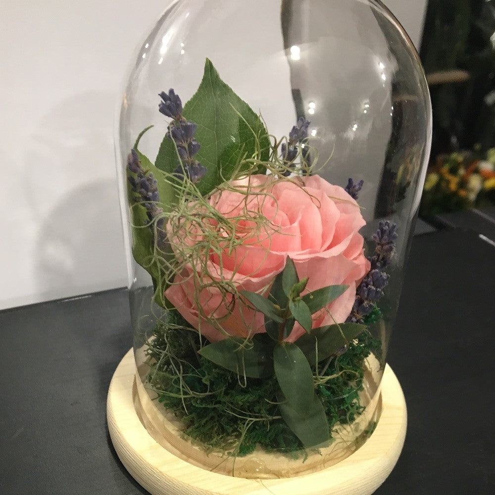 Trandafir criogenat roz in cupola de sticla, pret special!