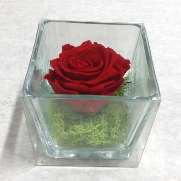 Cumpara online Trandafir criogenat rosu si moss in cub de sticla