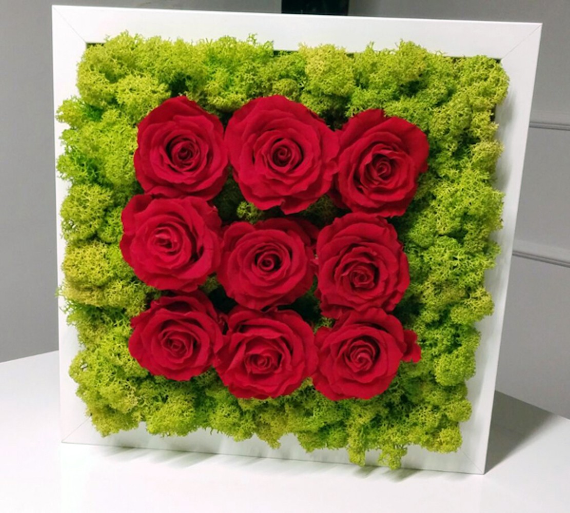 Tablou licheni decorativi  si elemente decorative naturale, pret atractiv