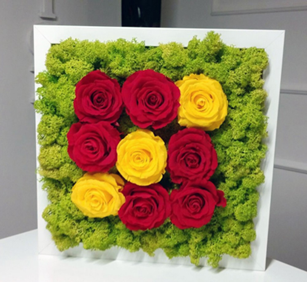 Tablou licheni stabilizati si trandafiri criogenati, de vanzare, pret atractiv