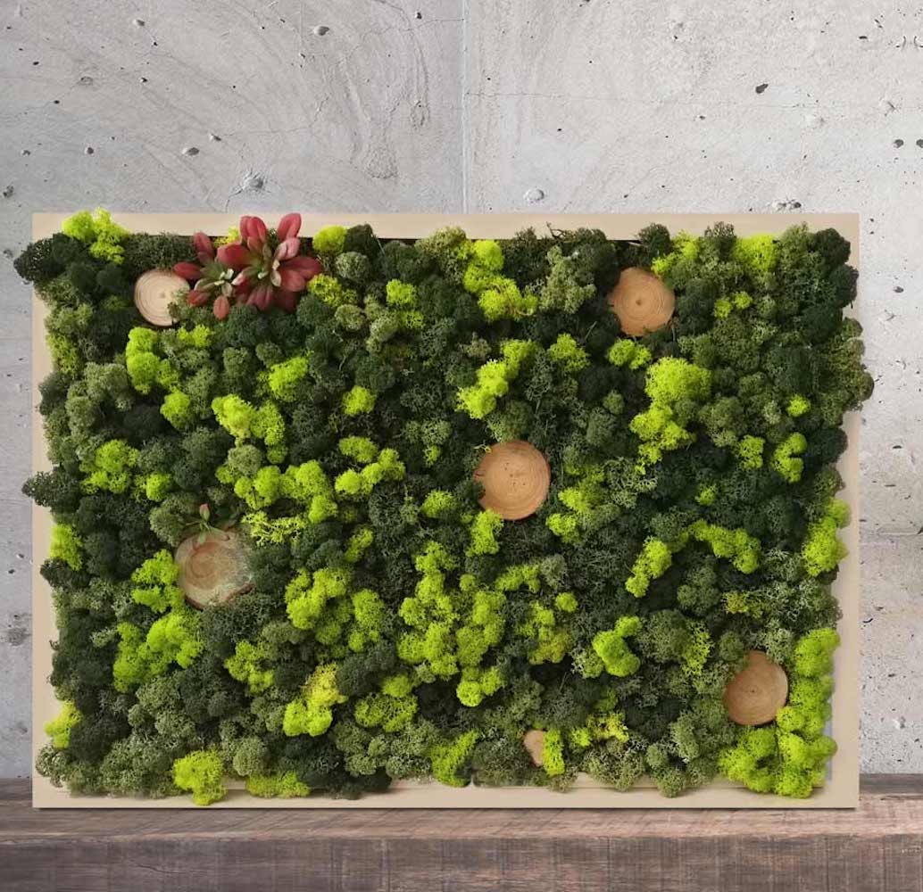 Tablou cu licheni stabilizati de dimensiune mare, personalizat in culoarea dorita