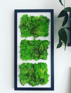 Modele de Tablouri cu licheni stabilizati, livrare rapida, pret atractiv