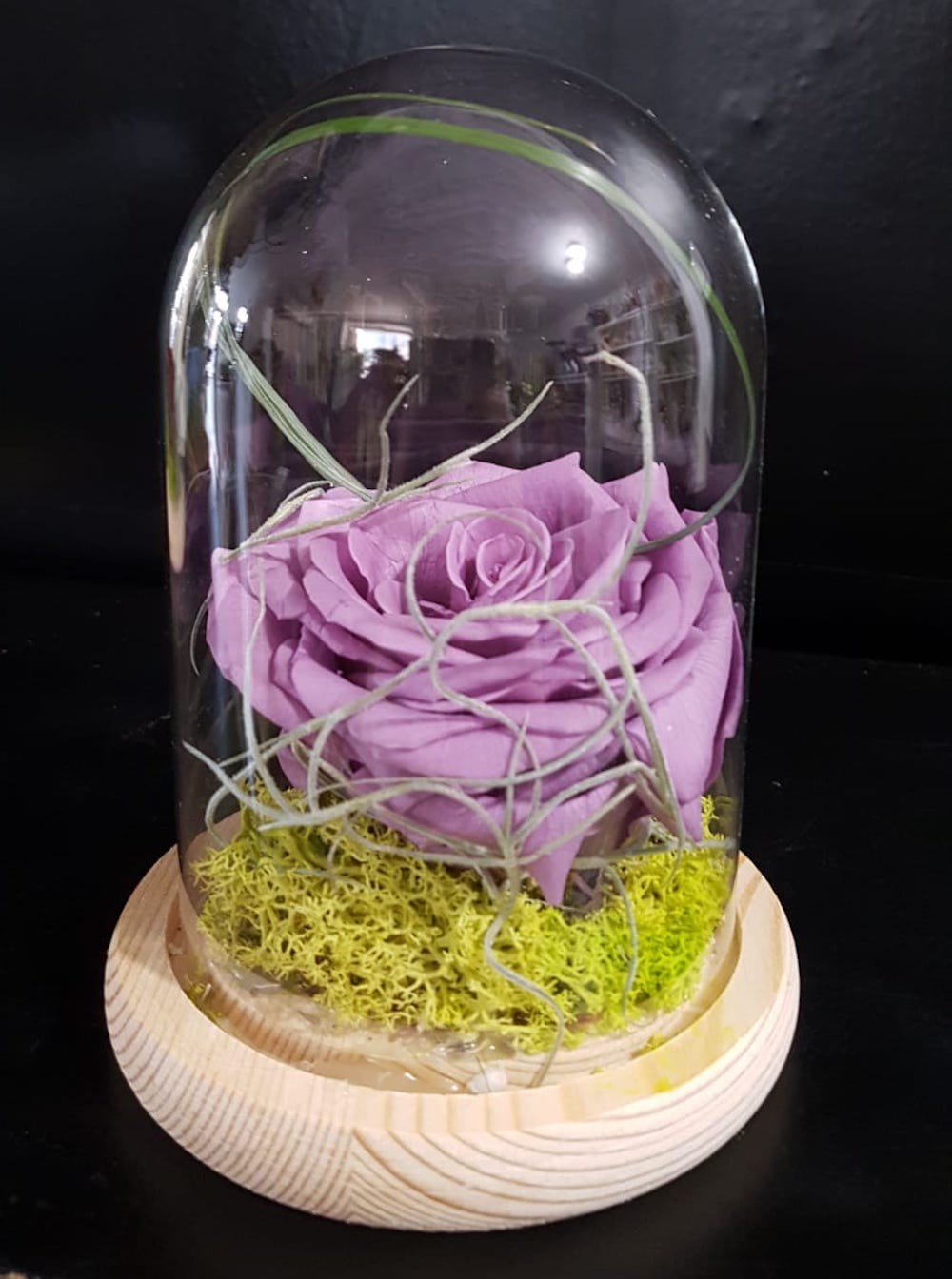 Comanda online trandafir criogenat lila in cupola de sticla, pret special!