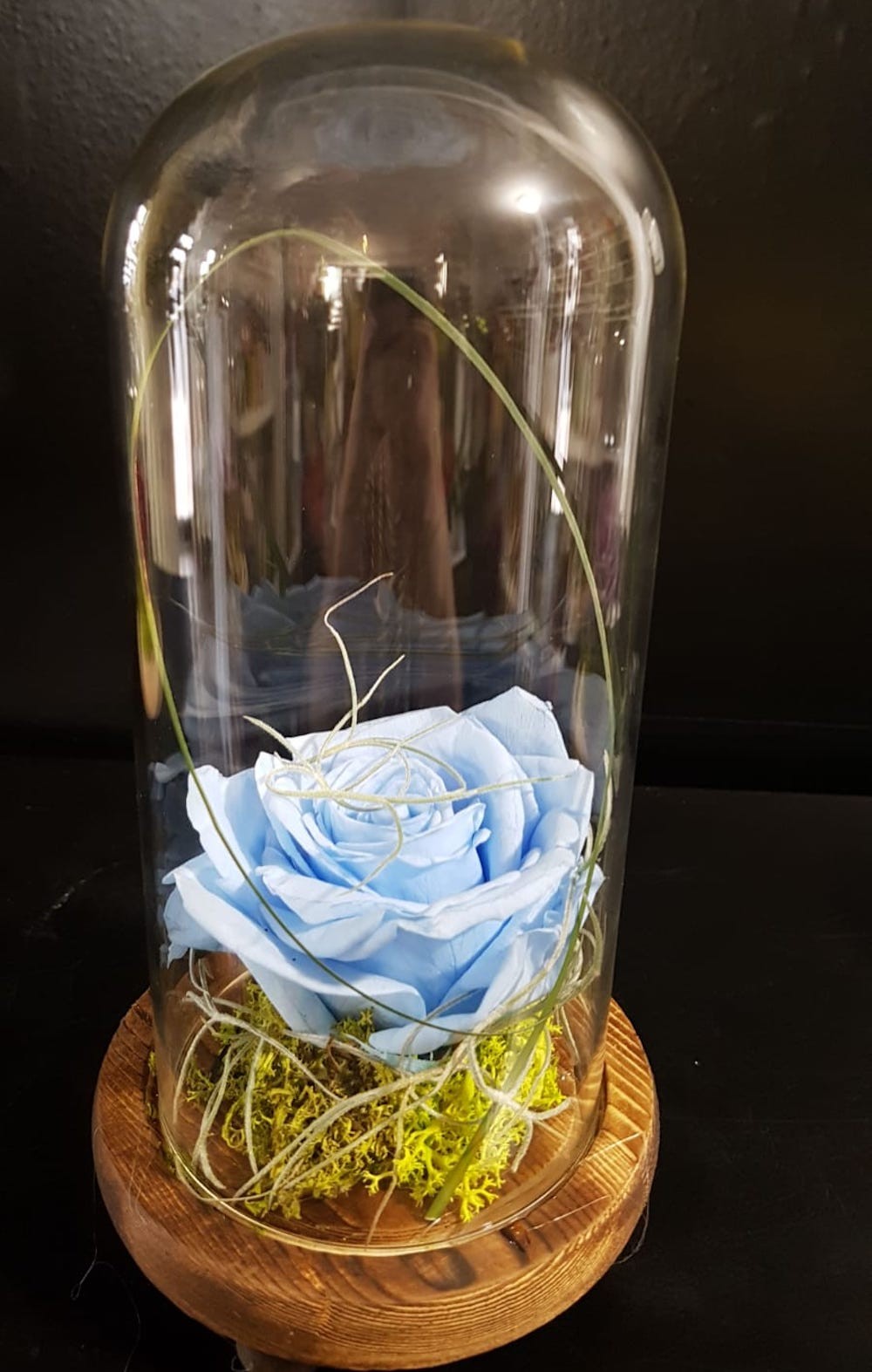 Comanda online trandafir criogenat albastru in cupola de sticla, pret special!