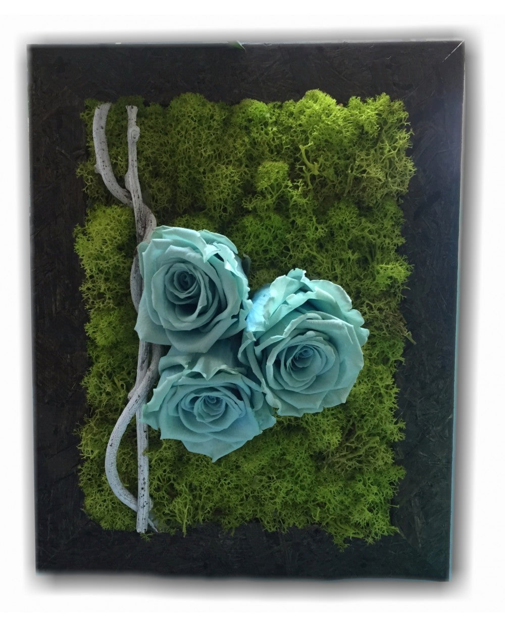 Tablou licheni stabilizati si trandafiri criogenati, de vanzare, pret atractiv