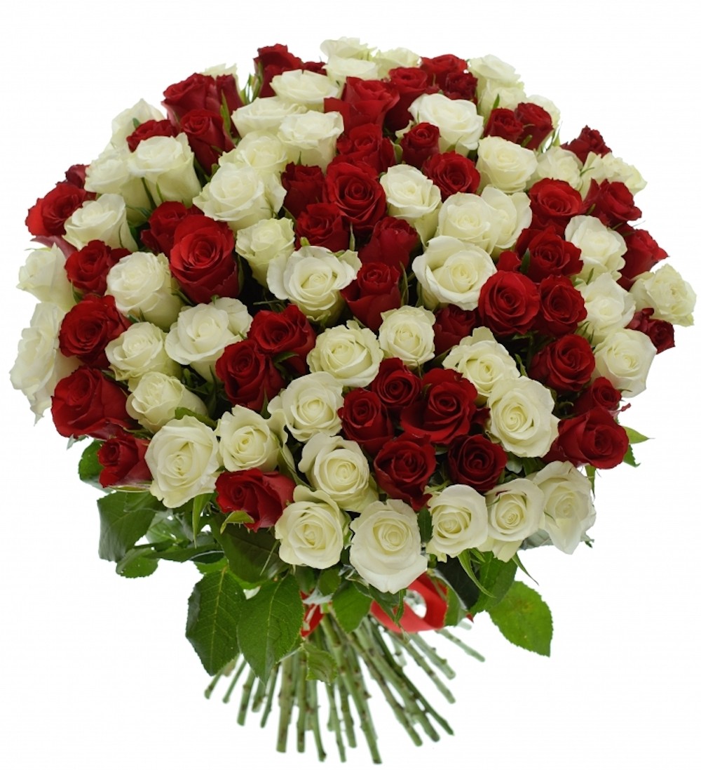 Buchet impresionant cu 101 trandafiri albi si rosii