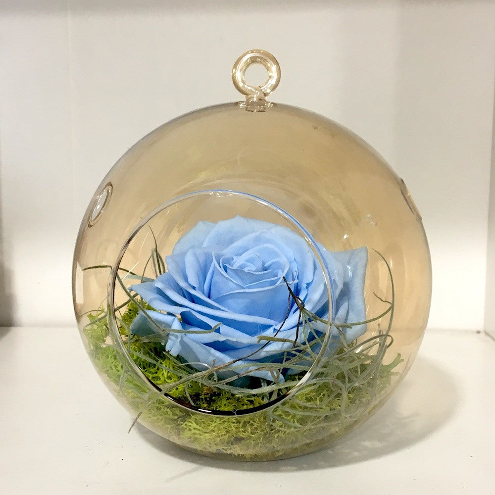 Comanda Trandafir criogenat albastru in glob de sticla la pret special!