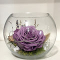 Comanda acum Trandafir criogenat lila in bol sticla la un pret special!
