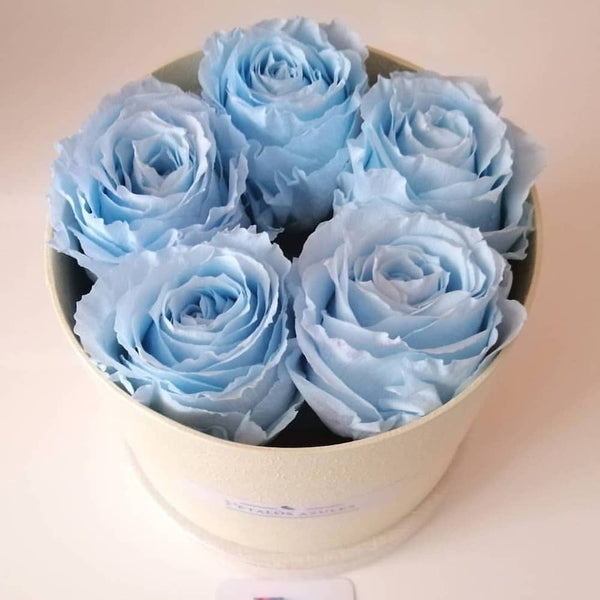 Trandafiri criogenati albastrii in cutie rotunda
