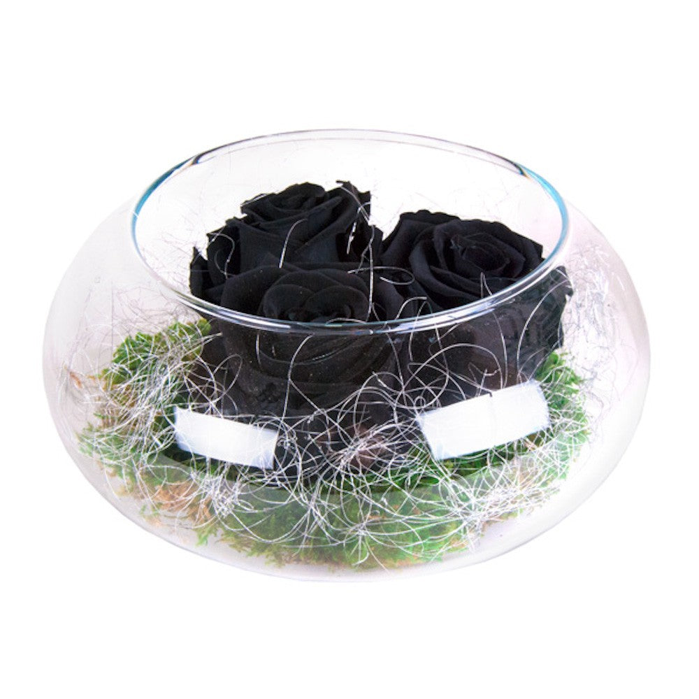 Trandafiri criogenati negrii in cutie rotunda, acum la un pret special!