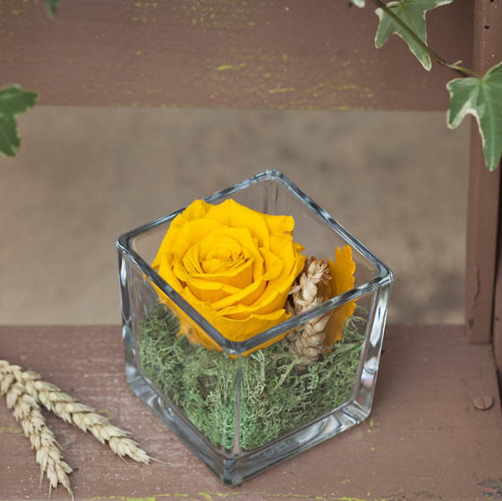 Cumpara online trandafir criogenat galben in cub de sticla