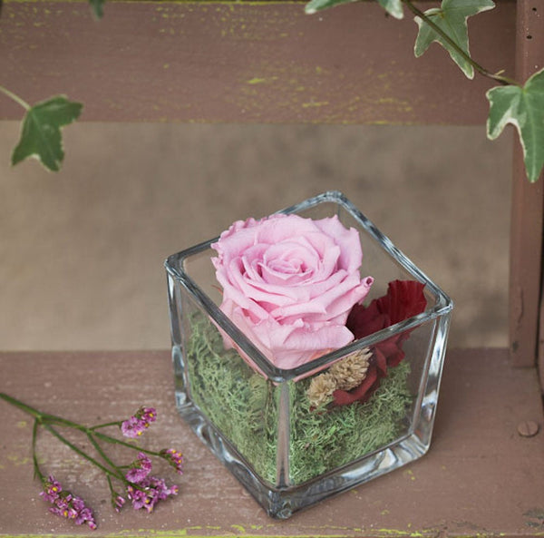 Cumpara Trandafir criogenat roz in cub de sticla, la pret special!