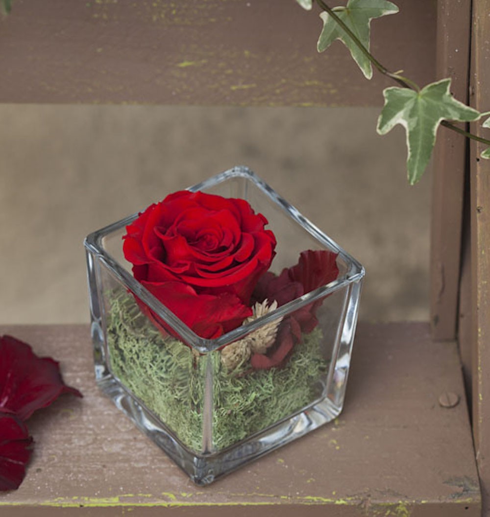 Cumpara Trandafir criogenat rosu in cub de sticla, la pret special!