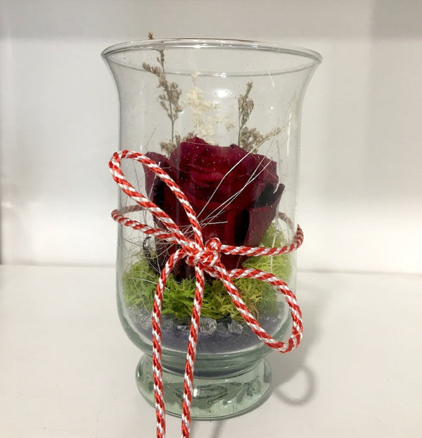 Cumpara acum trandafir criogenat rosu in sticla la un pret online special!