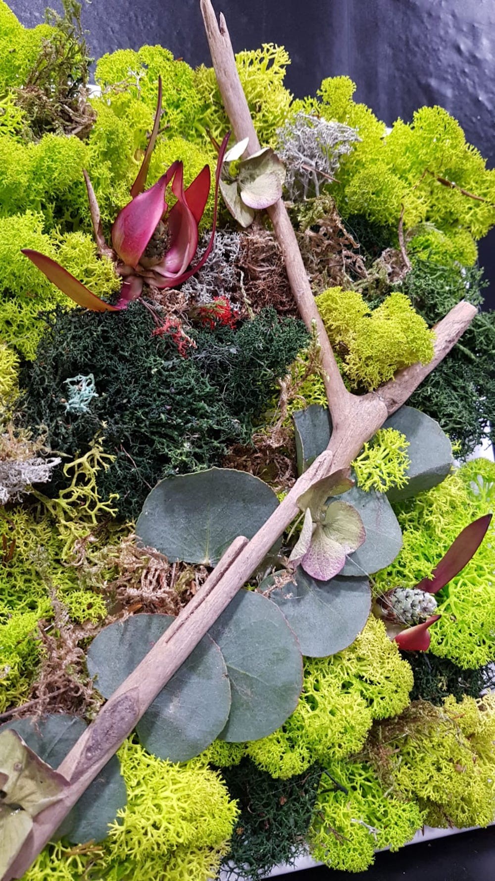 Tablou licheni decorativi si driftwood, pret atractiv