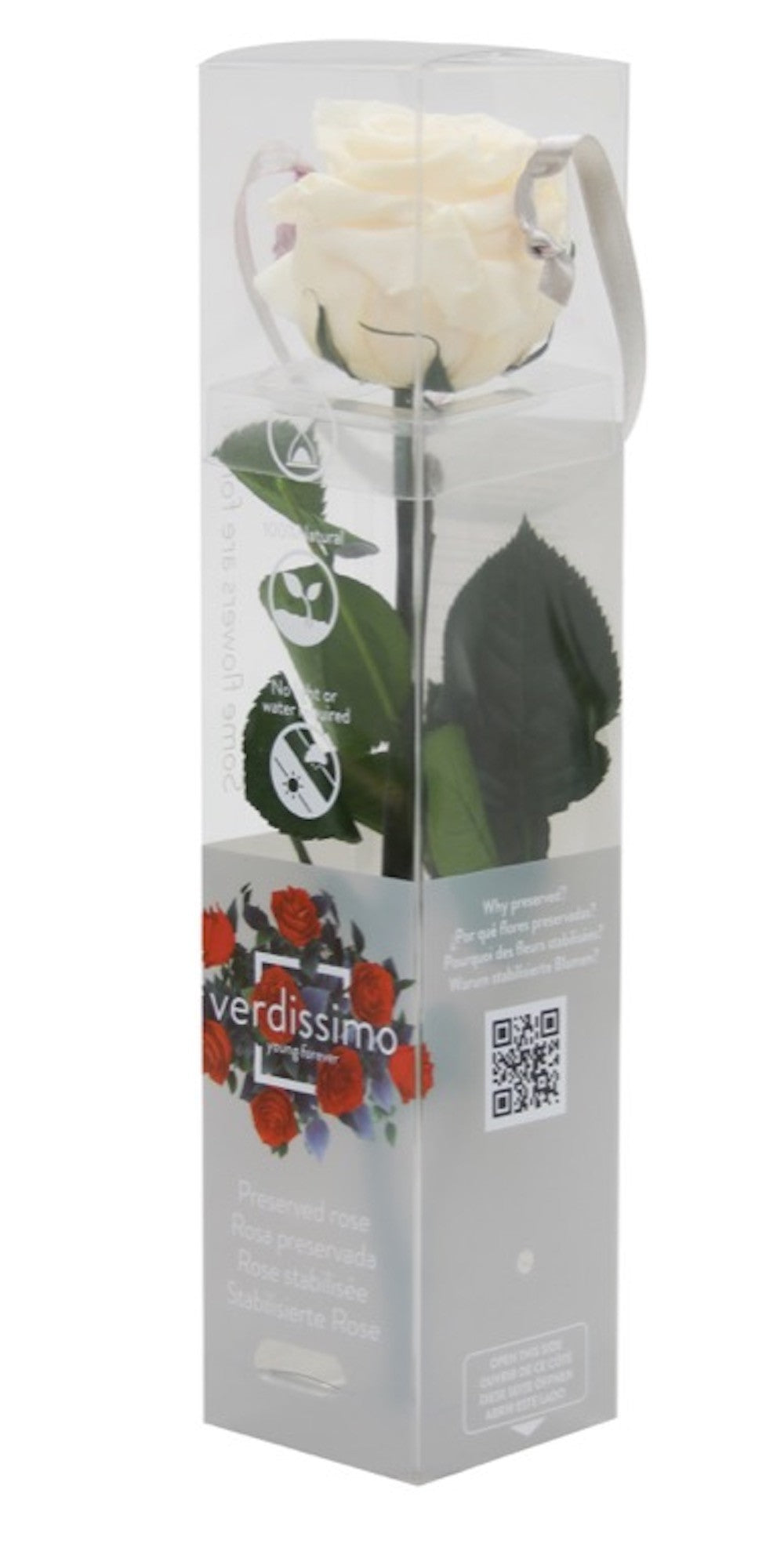 Cumpara online Trandafir criogenat cu codita la cel mai bun pret!