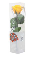 Cumpara online Trandafir criogenat cu codita la cel mai bun pret!