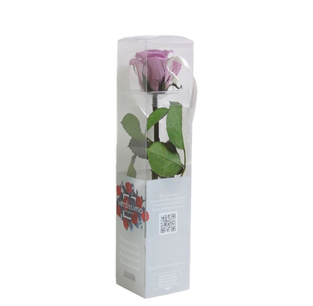 Cumpara online Trandafir criogenat cu codita la cel mai bun pret!