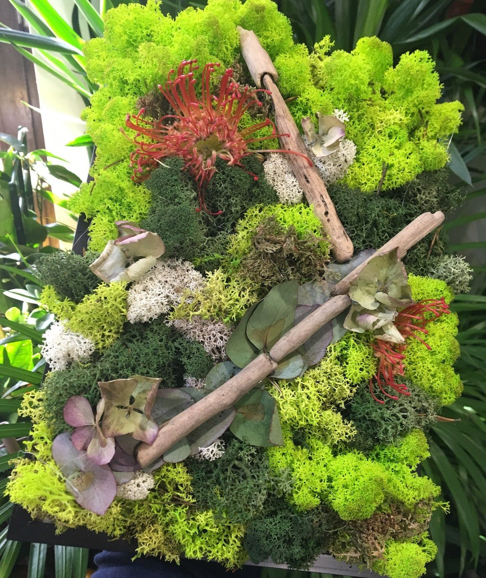 Tablou licheni decorativi  si elemente decorative naturale, pret atractiv