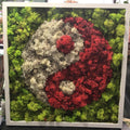 Tablou licheni stabilizati Ying - Yang