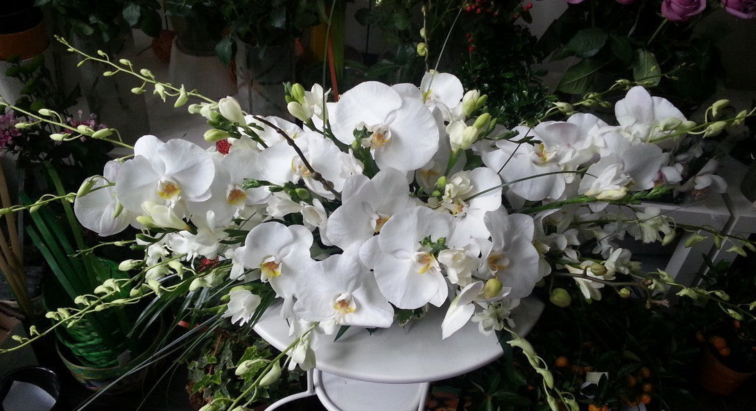 Aranjament de prezidiu din orhidee phalaenopsis si dendrobium alb
