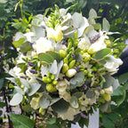 Buchet mireasa frezii si ornithogalum