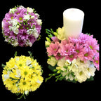 Comanda cele mai frumoase pachete de nunta la preturi imbatabile!