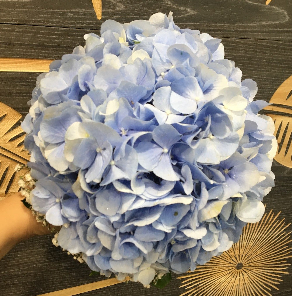 Buchet mireasa hortensie si floarea miresei la cel mai bun pret cu livrare!