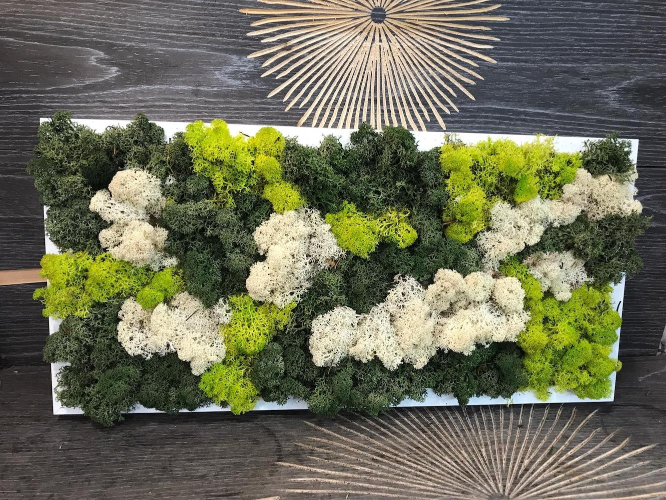 Tablou cu licheni stabilizati si decorativi, pret atractiv