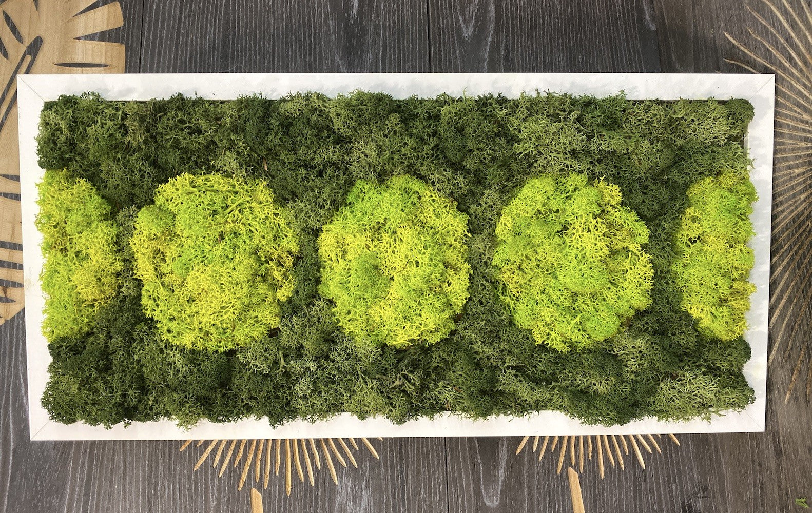 Panou cu licheni stabilizati verde si lime, pret atractiv