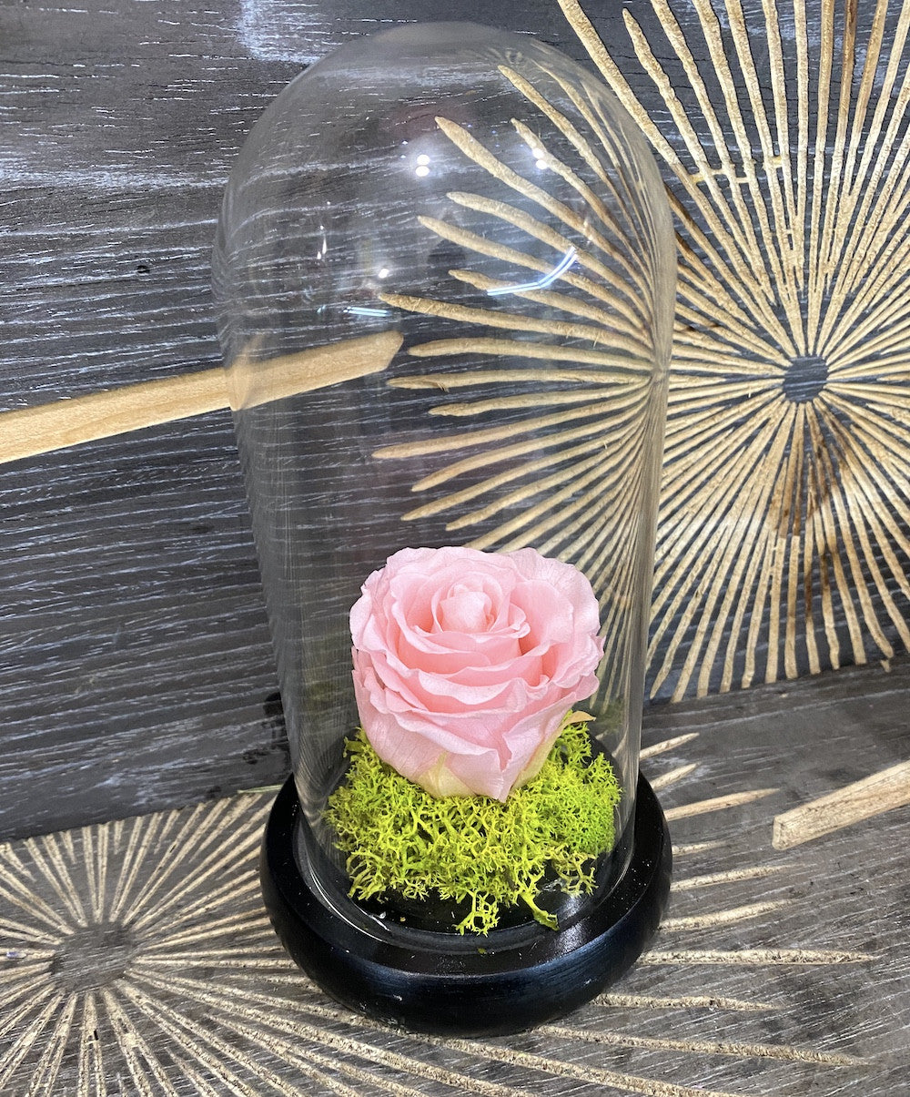 Cumpara  trandafir criogenat - nemuritor in cupola de sticla, pret special!