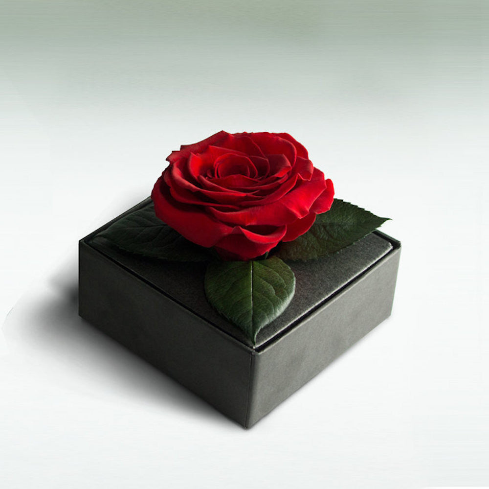 Trandafir criogenat rosu XXL - forma de inima