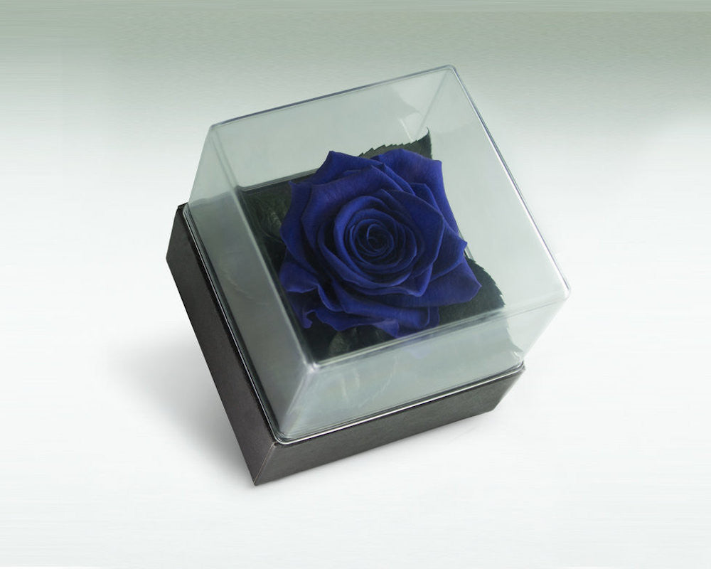 Trandafir criogenat rosu XXL - forma de inima