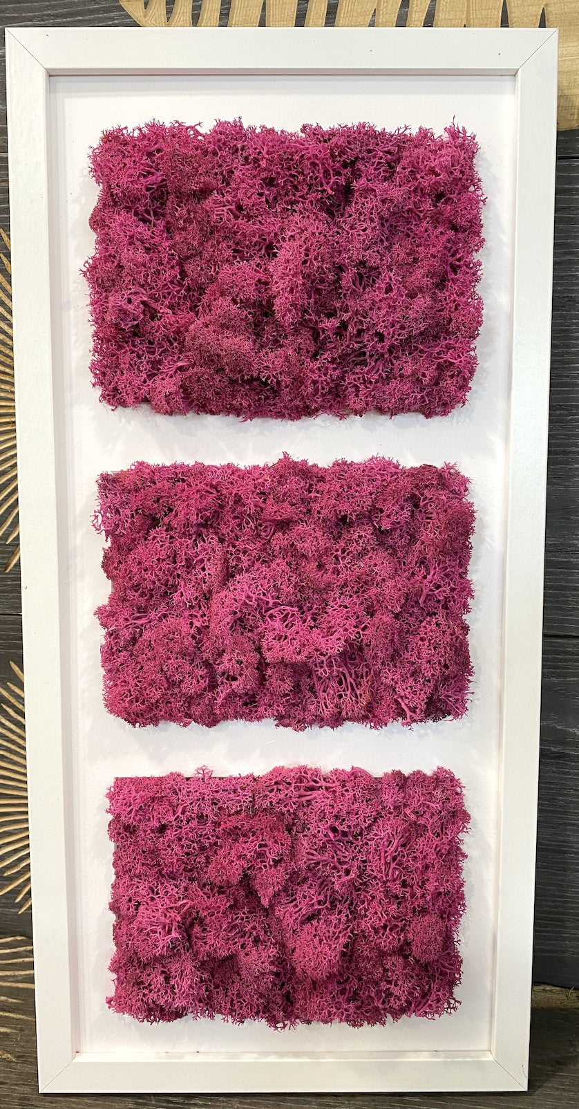 Modele de Tablouri cu licheni stabilizati, livrare rapida, pret atractiv