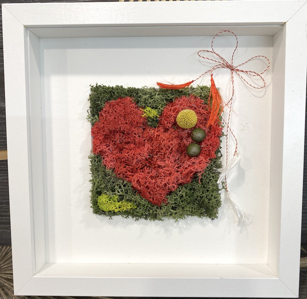 Tablou licheni stabilizati "Red Heart"