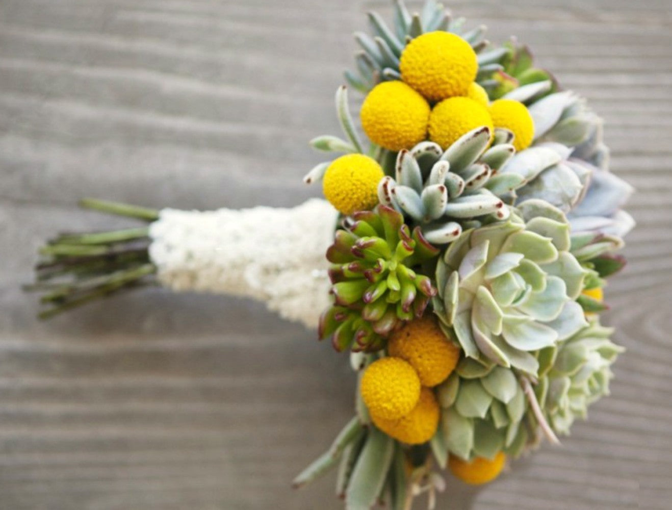 Buchet de mireasa din plante suculente si craspedia