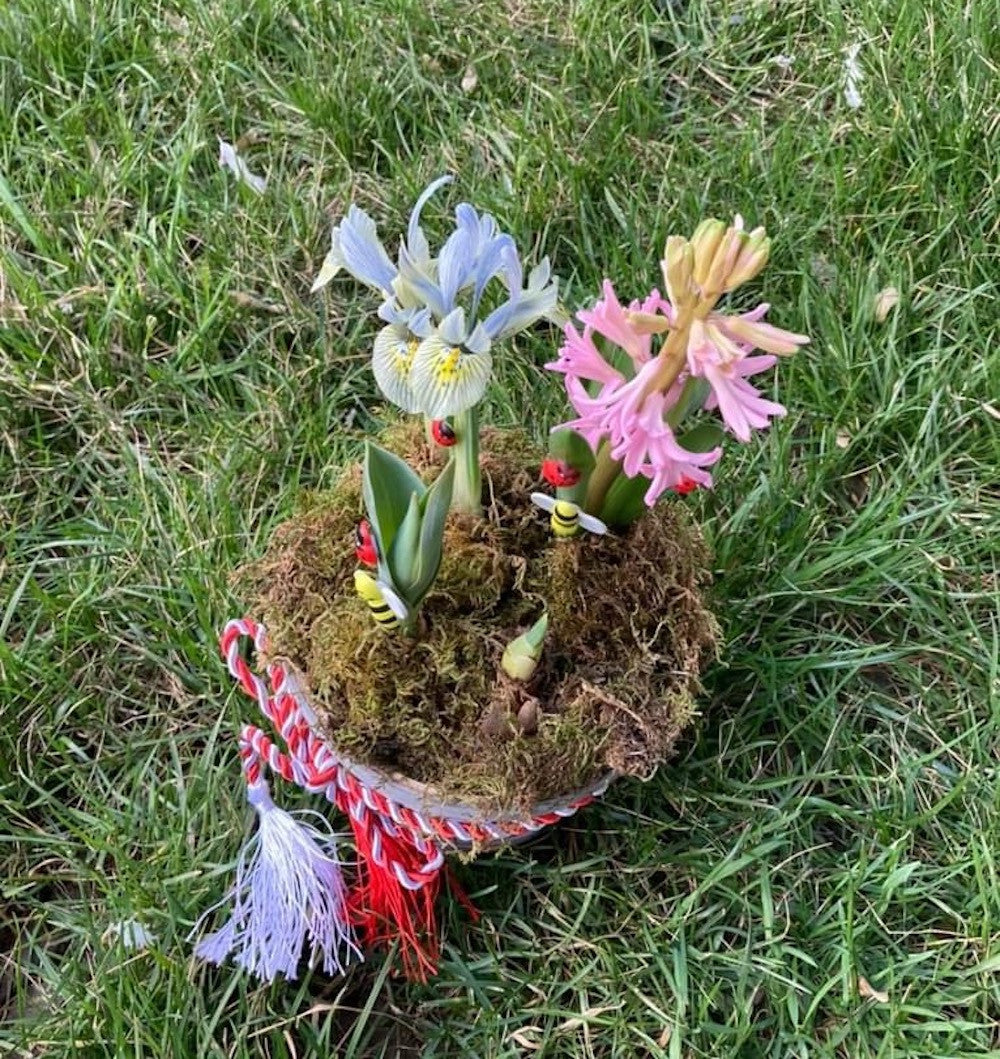 Aranjament cu mix bulbi de primavara