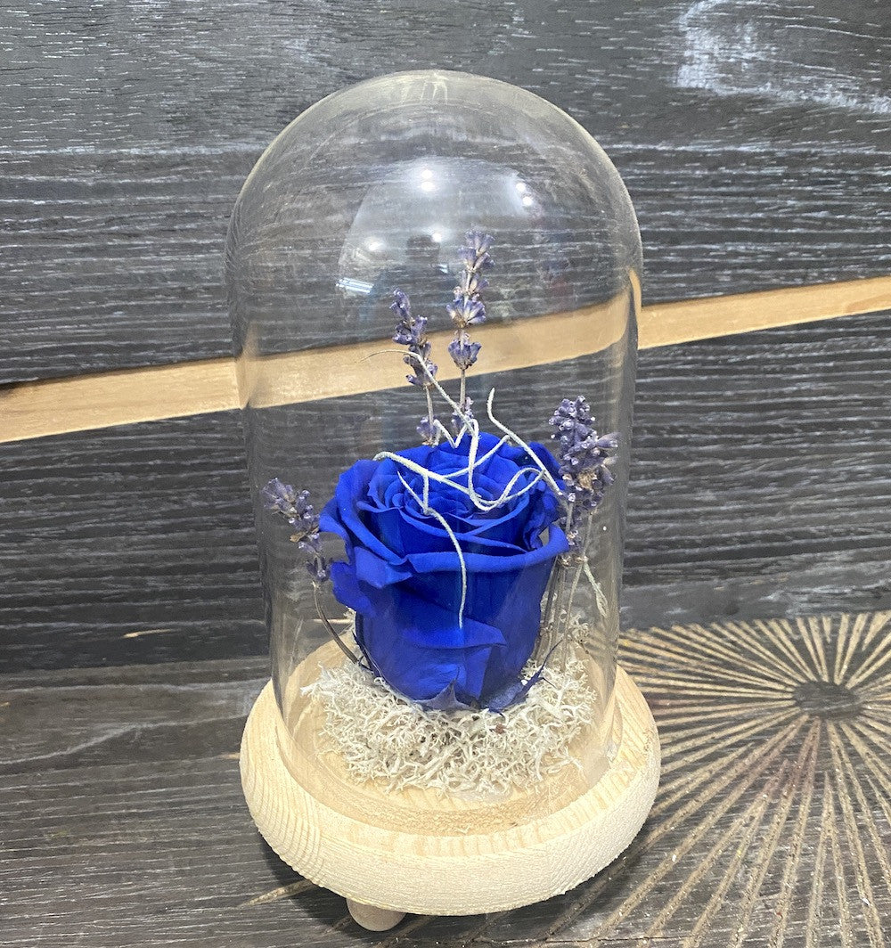 Trandafir criogenat albastru si lavanda in cupola de sticla