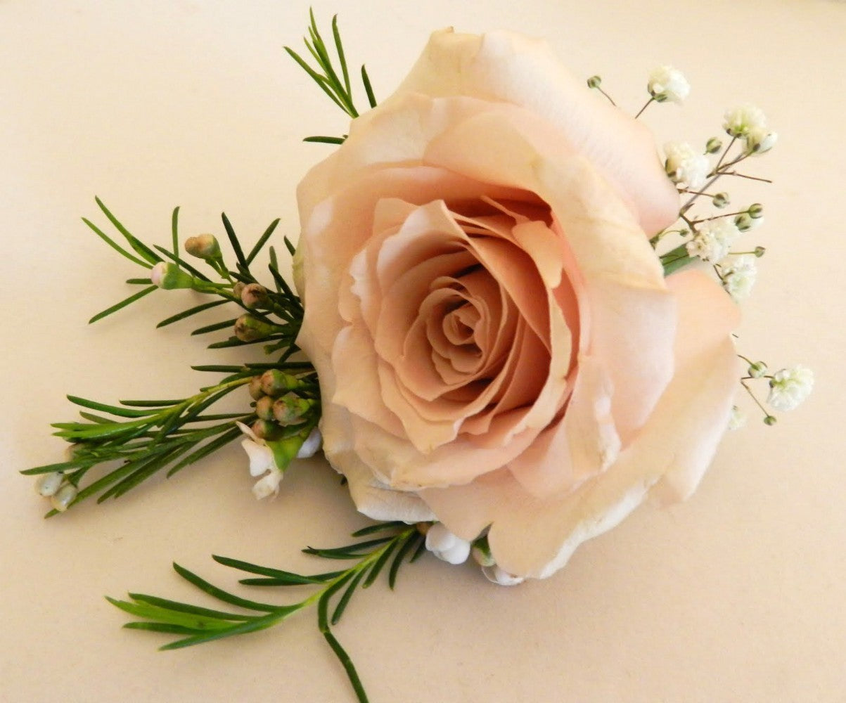 Cocarde naturale cu trandafiri, floarea miresei si wax flower