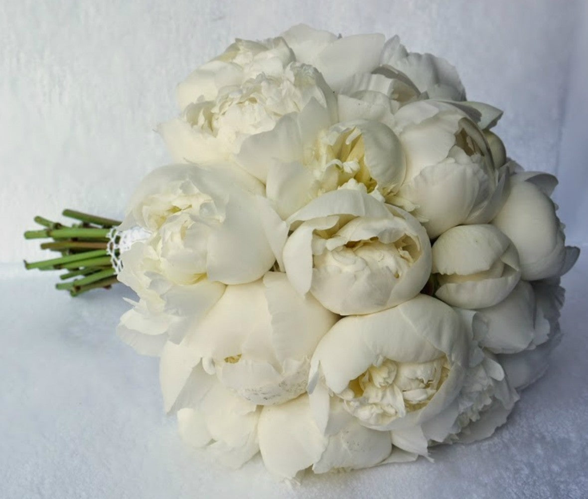 Buchet de mireasa din bujori albi