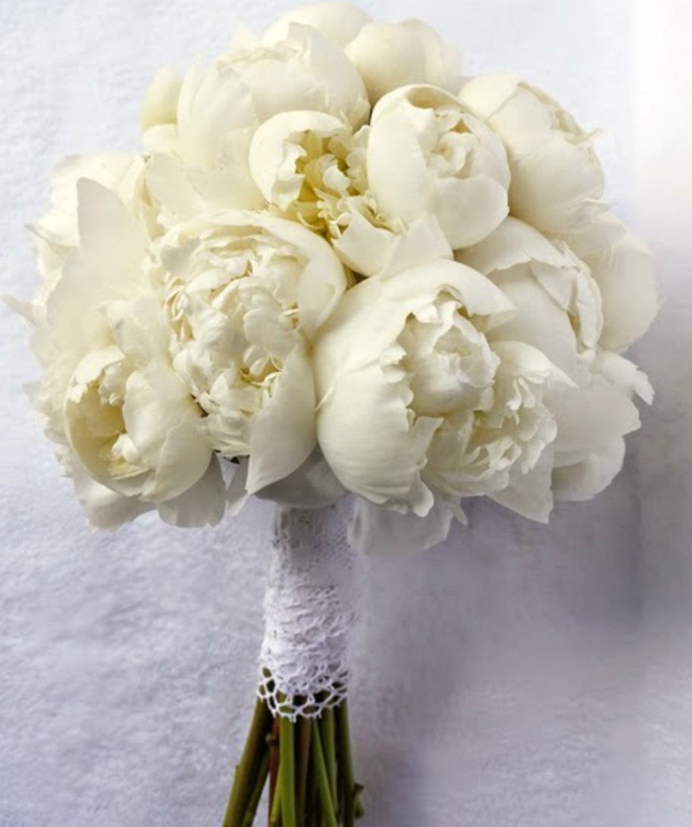 Buchet de mireasa din bujori albi