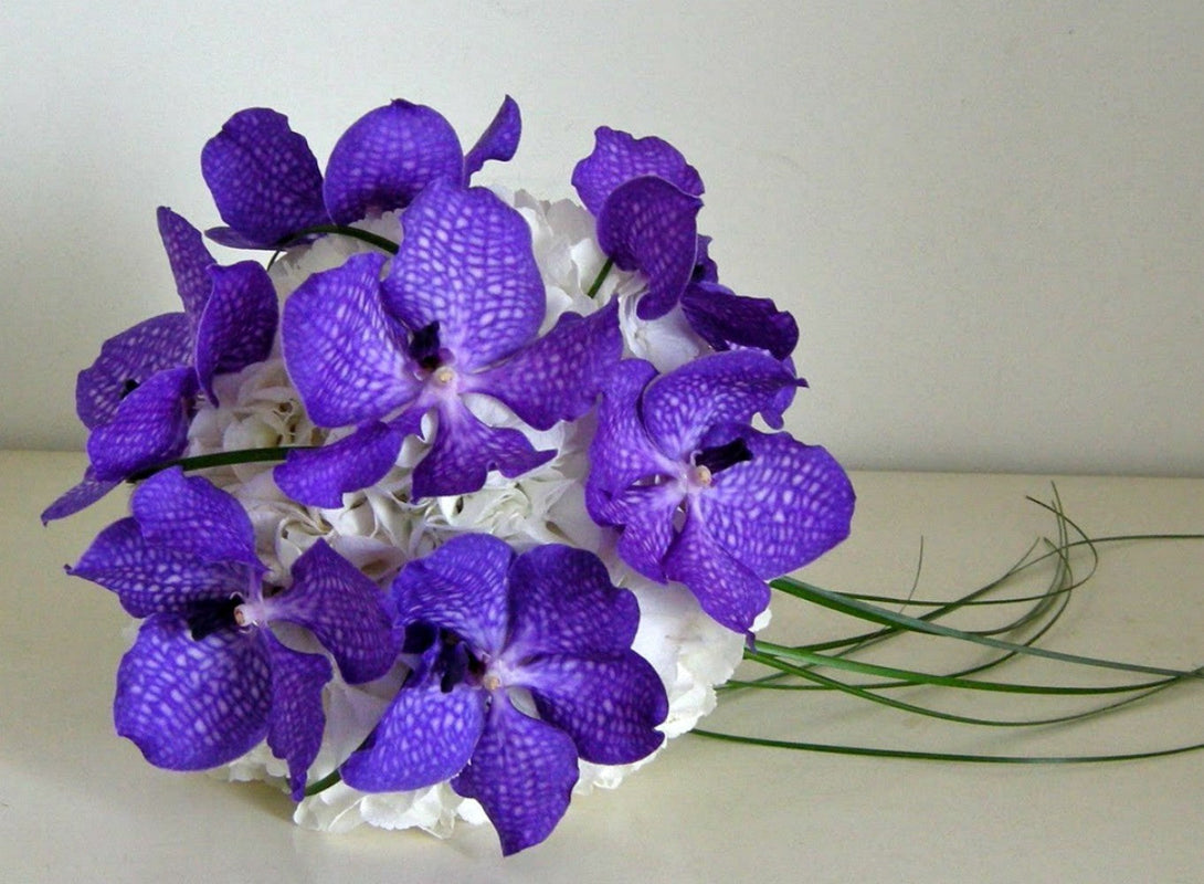 Buchet de mireasa din hortensie alba si orhidee vanda