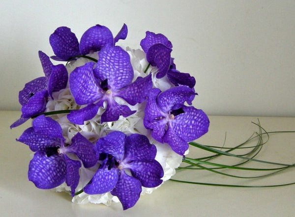 Buchet de mireasa din hortensie alba si orhidee vanda