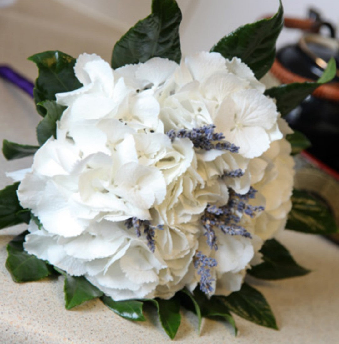 Buchet de mireasa din hortensie alba si lavanda