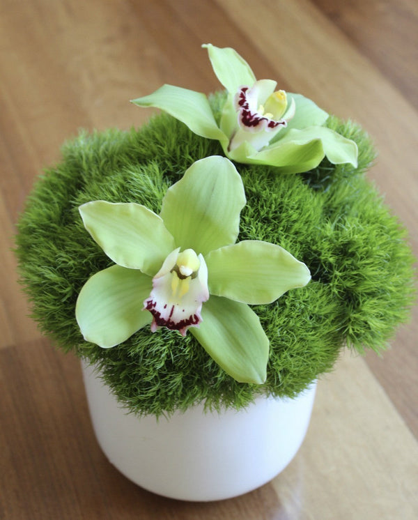 Aranjament de masa verde cu dianthus si orhidee cymbidium